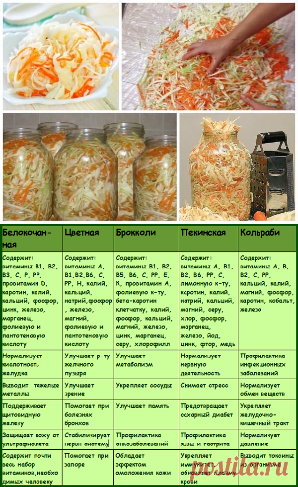 Салат из брюссельской капусты на зиму рецепты. брюссельская капуста на зиму
