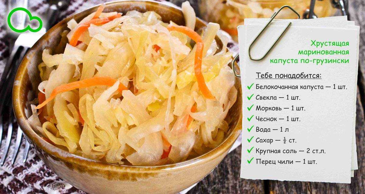 Квашеная капуста на зиму: 10 простых и очень вкусных рецептов приготовления, когда готовить
