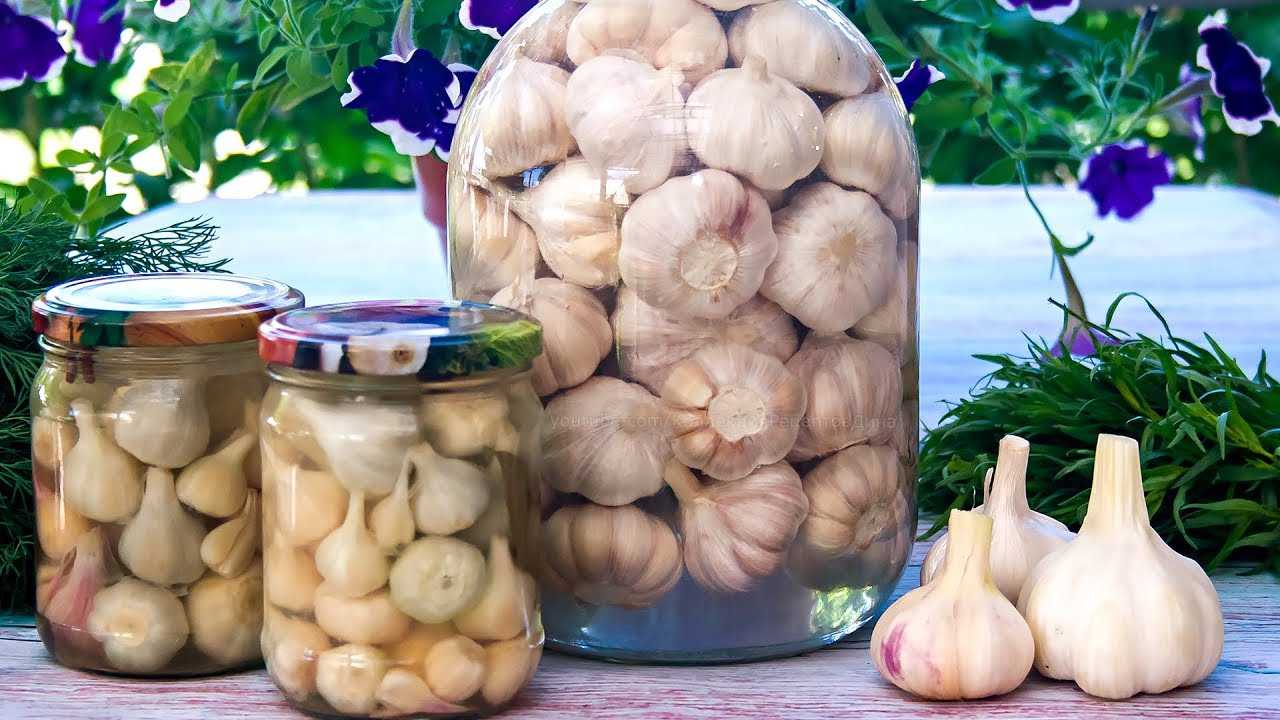 Маринованный чеснок: 6 рецептов на зиму зубчиками и головками
