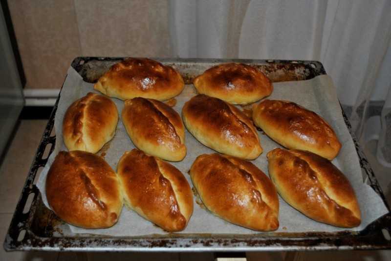 Пирожки с мясом в духовке из дрожжевого теста. простые и вкусные рецепты