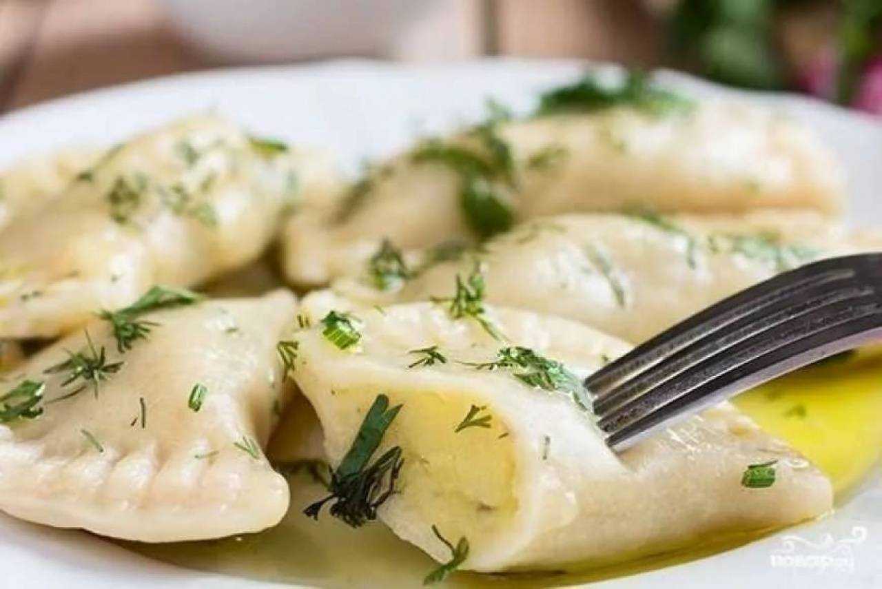 Вареники с картошкой и салом пошаговый рецепт быстро и просто от олега михайлова