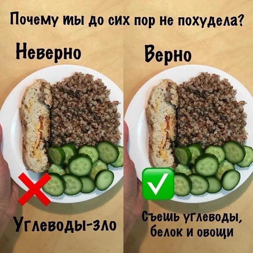 Семена чиа для похудения: полезные свойства и вкусные рецепты, как принимать