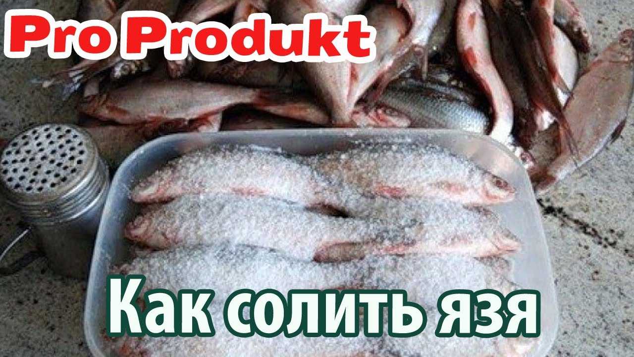 Как вялить рыбу в домашних условиях