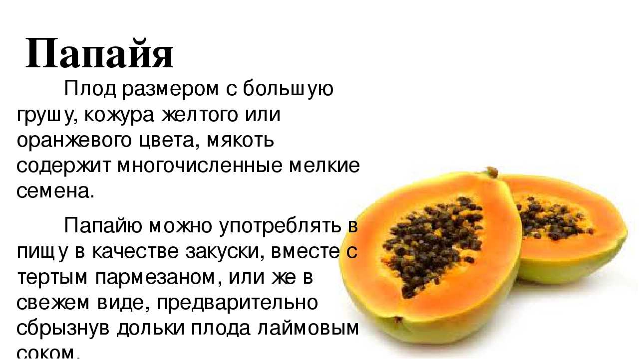 Папайя - полезные свойства и противопоказания, состав, калорийность. как едят папайю? выращивание папайи в домашних условиях