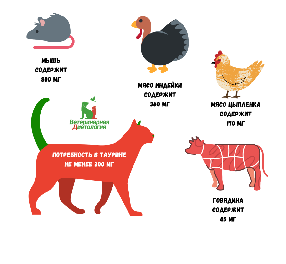 Где найти большое количество таурина: топ-10 продуктов