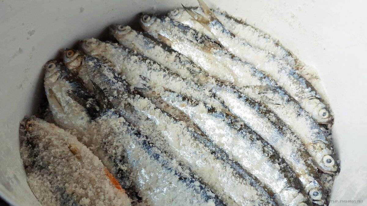 Как вкусно приготовить рыбу сырок? 5 рецептов пеляди в домашних условиях