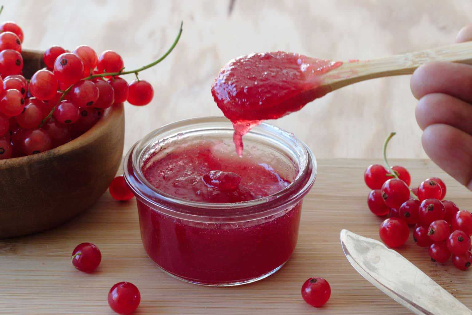 Соус из красной смородины к мясу на зиму с чесноком