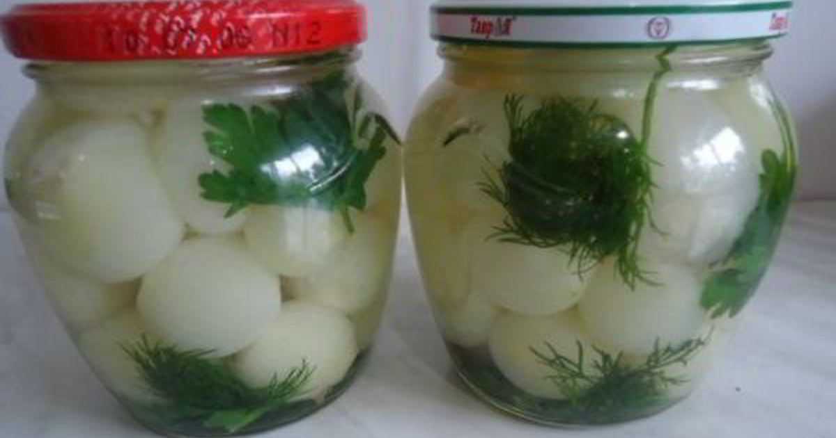 Красный лук на зиму в банках: маринованный и с овощами