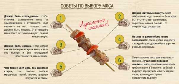Пельмени на мангале на решетке как приготовить