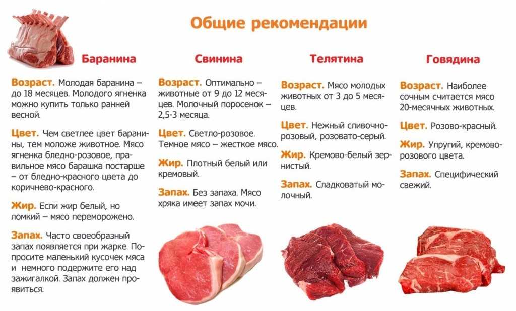 Лагман в мультиварке: как приготовить по пошаговому классическому рецепту