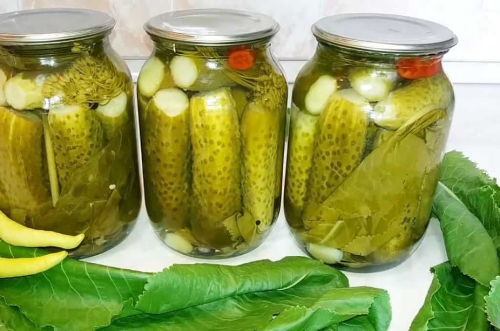 Сладкие огурцы на зиму: 7 рецептов маринованных хрустящих огурцов