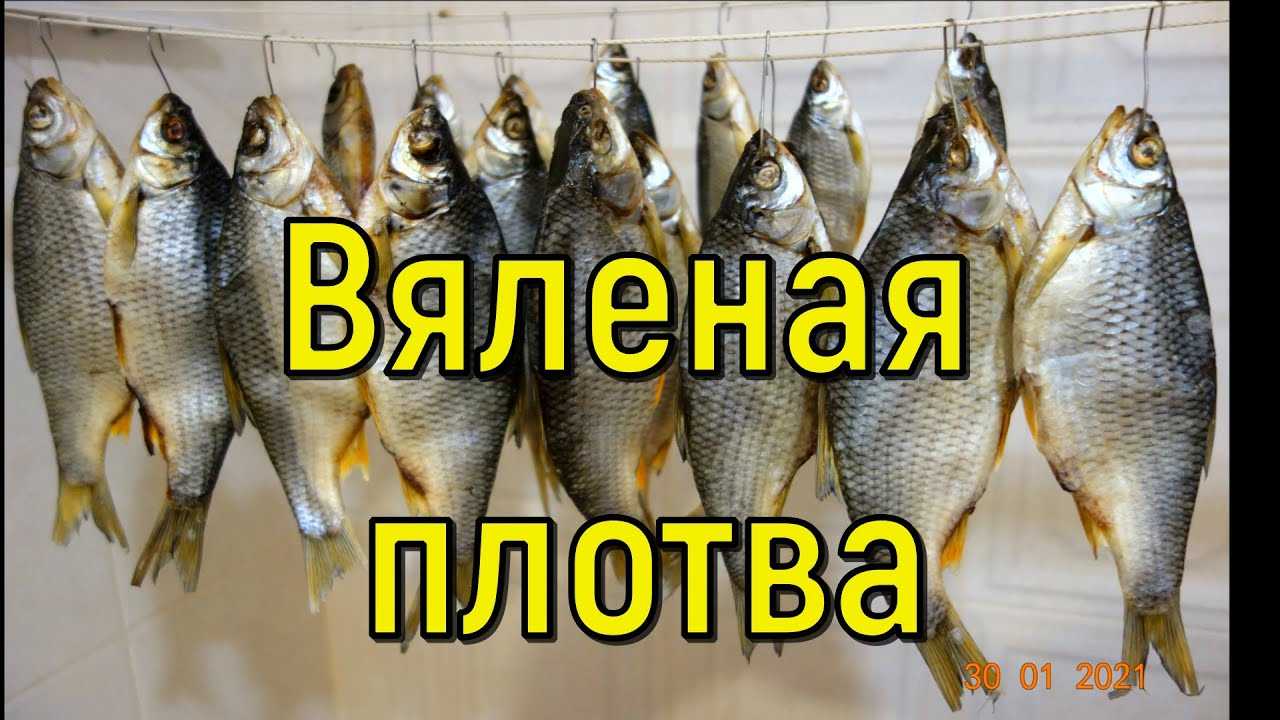 Технология приготовления таранки к пиву. таранка: секреты приготовления сушено-вяленой рыбы в домашних условиях чем полезна тарань и с чем её лучше употреблять