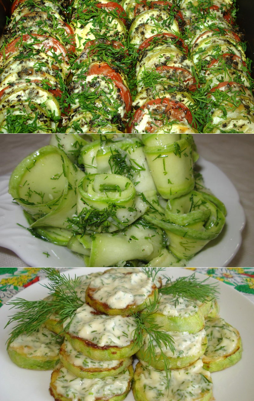 Что можно приготовить из кабачков быстро и вкусно, пошаговые рецепты блюд с фото и видео