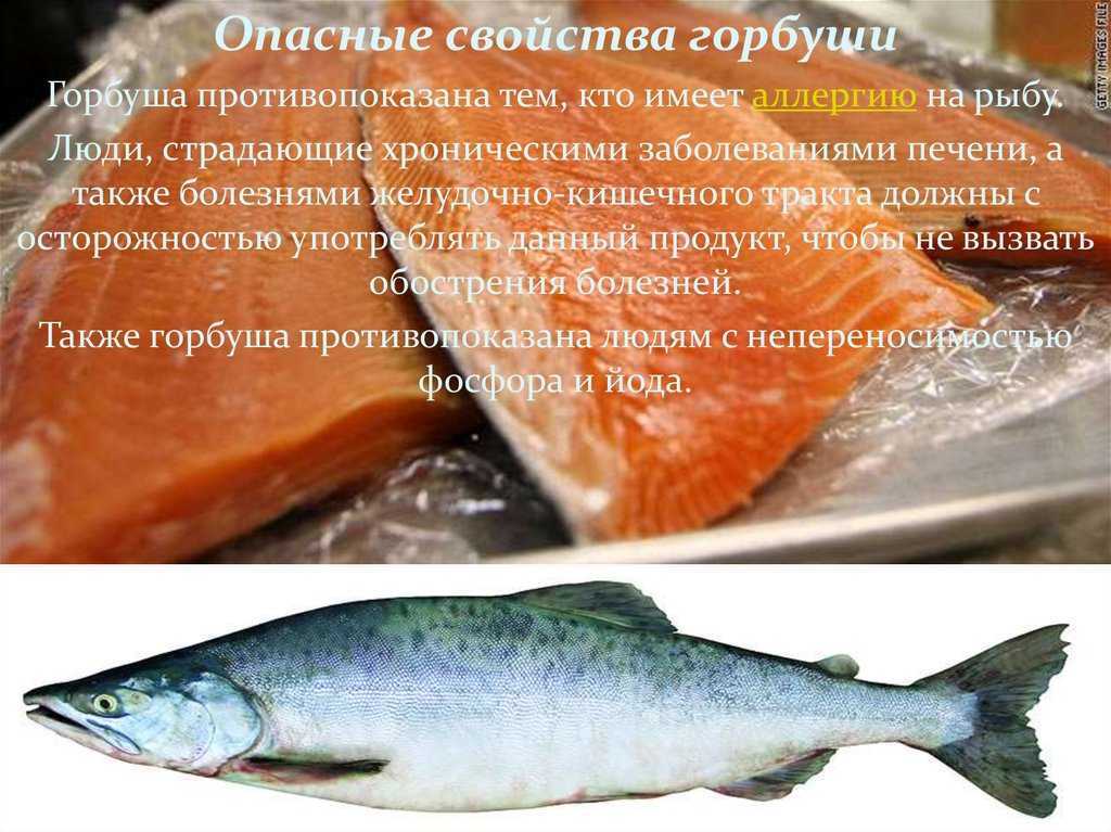 Молоки лососевых рыб рецепты приготовления: польза и вред, калорийность, как вкусно приготовить на сковороде, как пожарить рыбные блюда, паштет