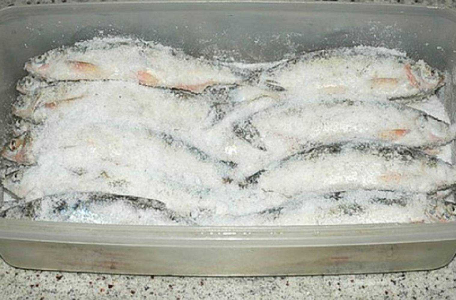 Соленый карась сушить в духовке. как солить, вялить и сушить карася в домашних условиях