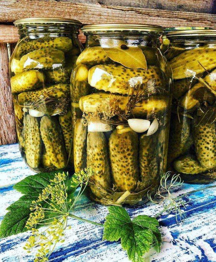 Хрустящие солёные огурцы на зиму в банках — 10 вкусных рецептов в домашних условиях