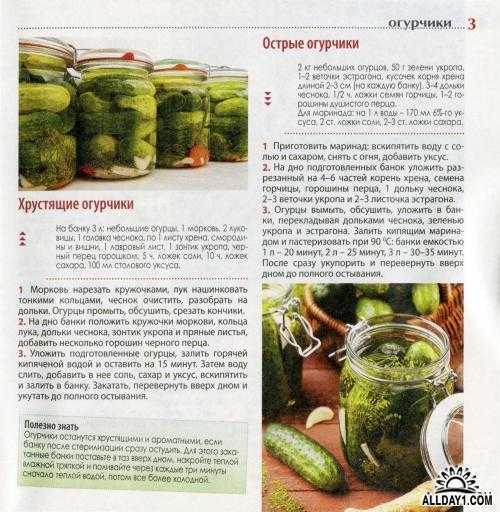 Хрустящие солёные огурцы на зиму в банках — 10 вкусных рецептов в домашних условиях