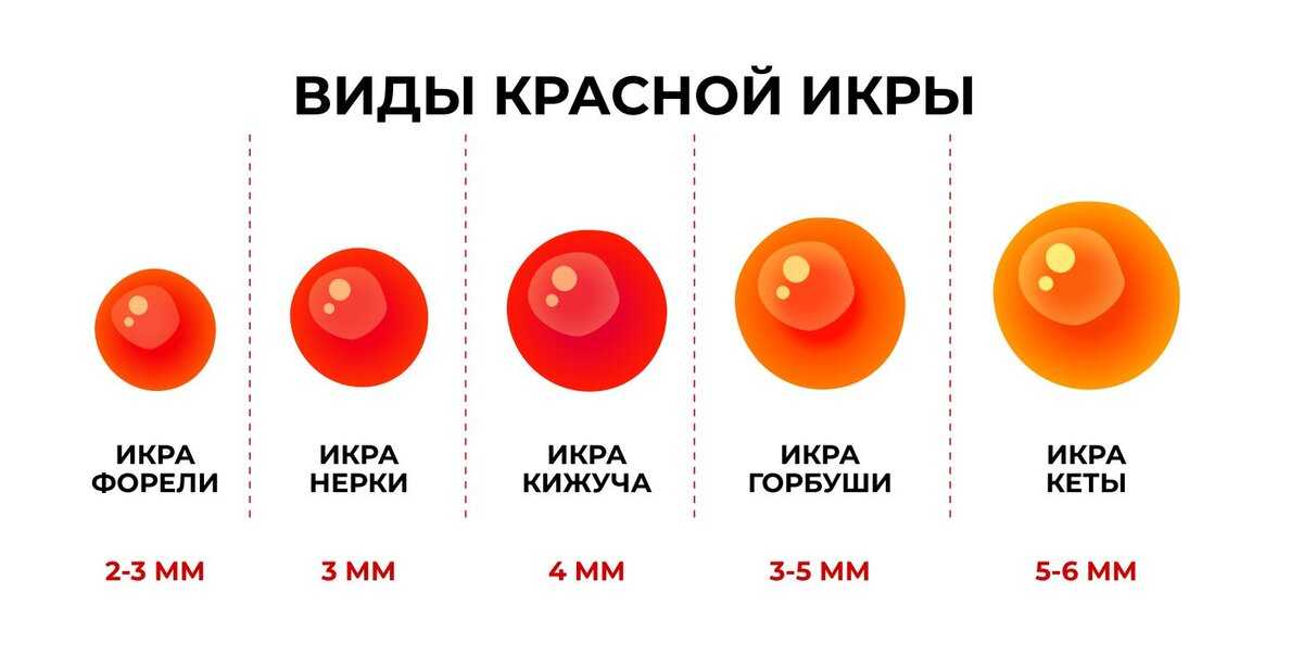Нерка или горбуша что лучше. что лучше кета или кижуч?