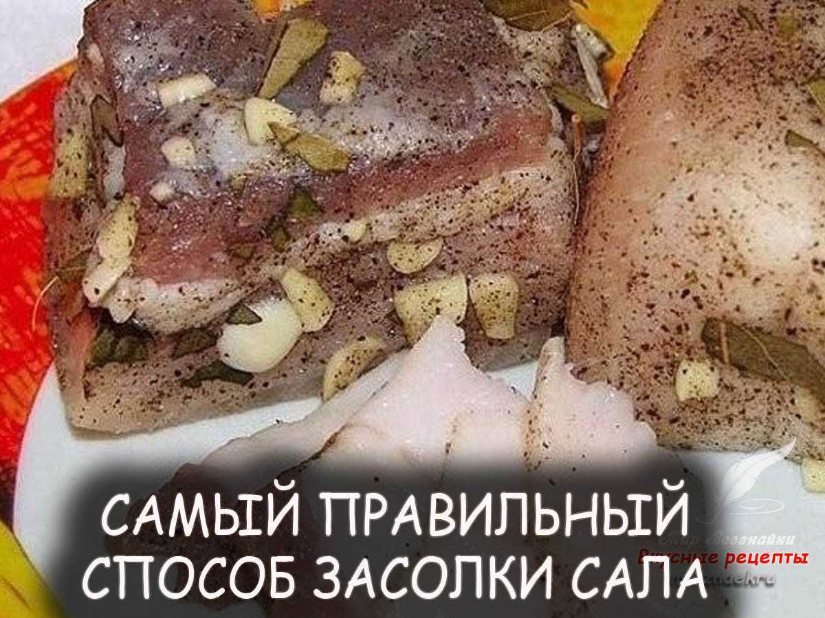 Сало на засолку: выбираем и солим правильно