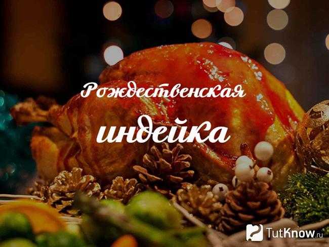 Индейка,запеченная в духовке, любит "рукава" и блеск фольги! как приготовить изысканную индейку, запеченную в духовке: рецепты разных уровней сложности - автор екатерина данилова - журнал женское мнение