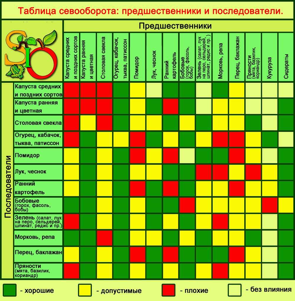 Что посадить после редиса — какие культуры?