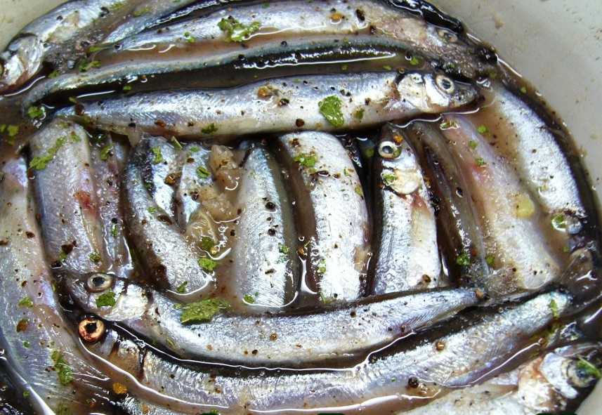 Селедка иваси пряного посола, как в ссср: рецепт вкусной слабосоленой рыбы. рецепт: засолка рыбы - сардины а-ля селедка