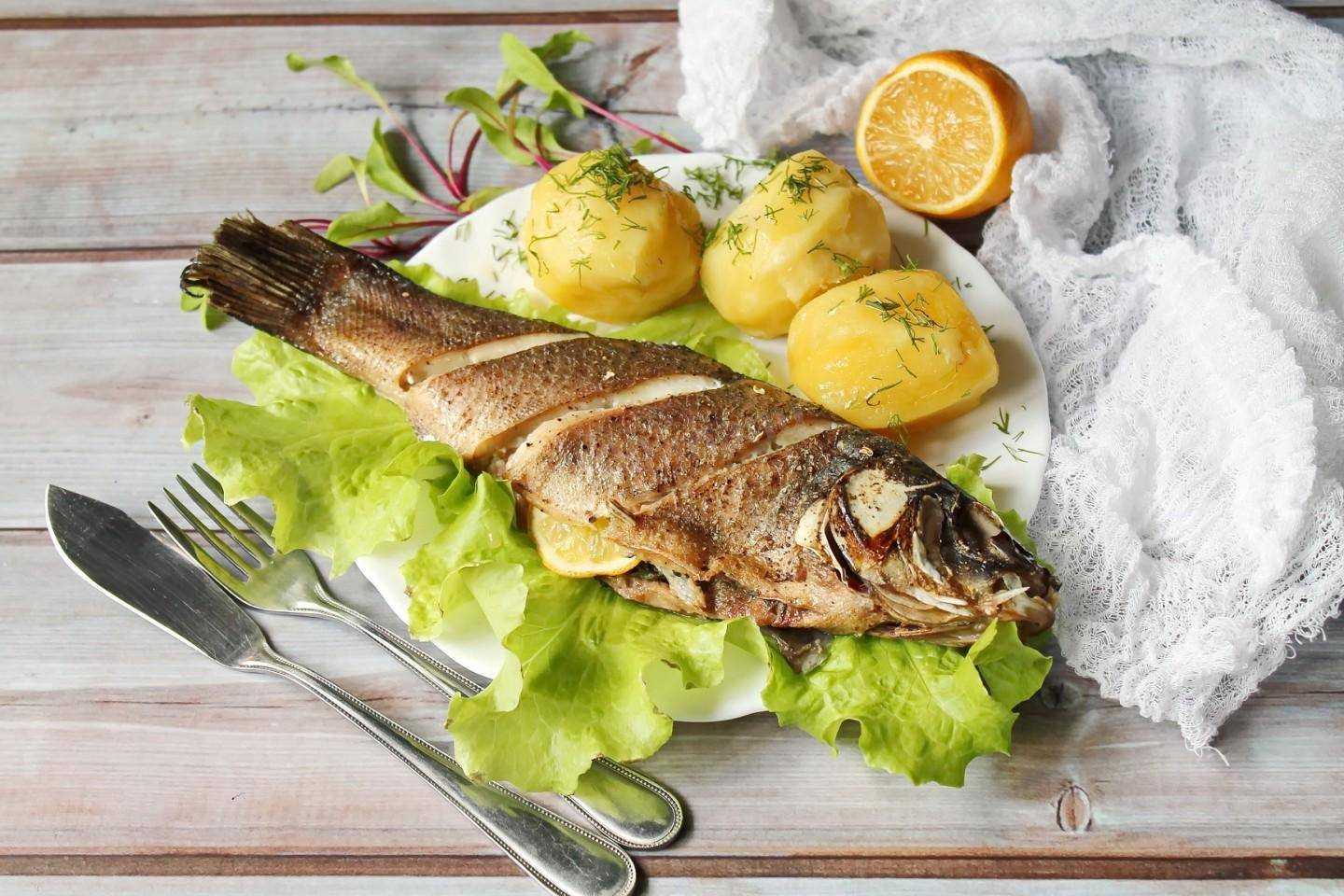 Рыба линь – 6 рецептов как приготовить линя вкусно — приколись — смешные приколы — видео про животных, полезные истории, картинки о путешествиях