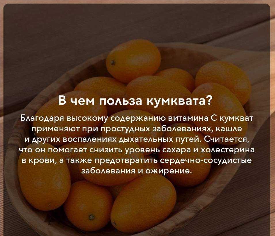 Кумкват: что это за фрукт, состав, польза, как выбрать, хранить есть