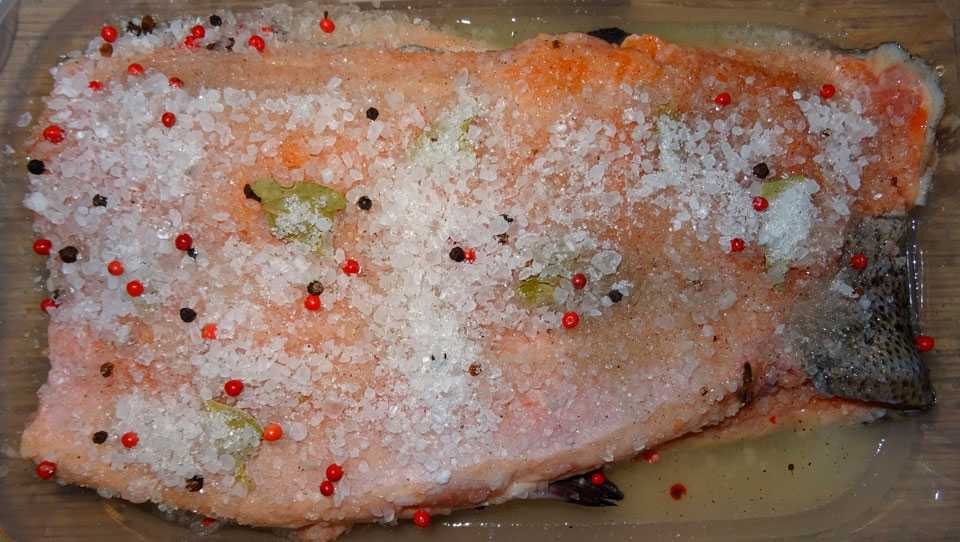 Как засолить форель в домашних условиях вкусно и быстро – рецепты