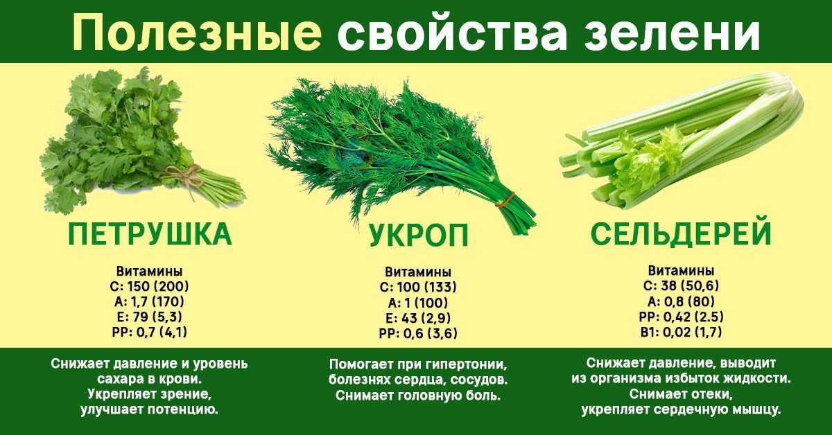Тушеные стебли сельдерея с морковью и оливками. как потушить сельдерей в соевом соусе. суп-пюре из корня сельдерея