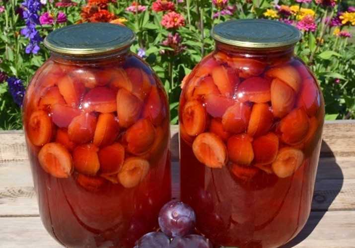 Компот из сливы для питья сразу рецепт - бабушкины рецепты
