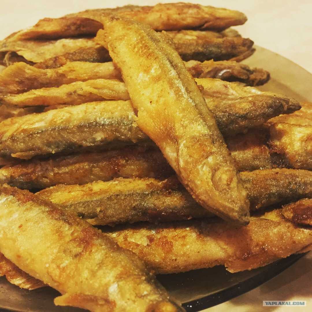 Как вкусно приготовить мойву на сковороде – простые рецепты готовки популярной морских рыбок :)
как приготовить мойву на сковороде: рецепт с водой, в муке и со сметаной, польза рыбы и правила выбора, как жарить без запаха