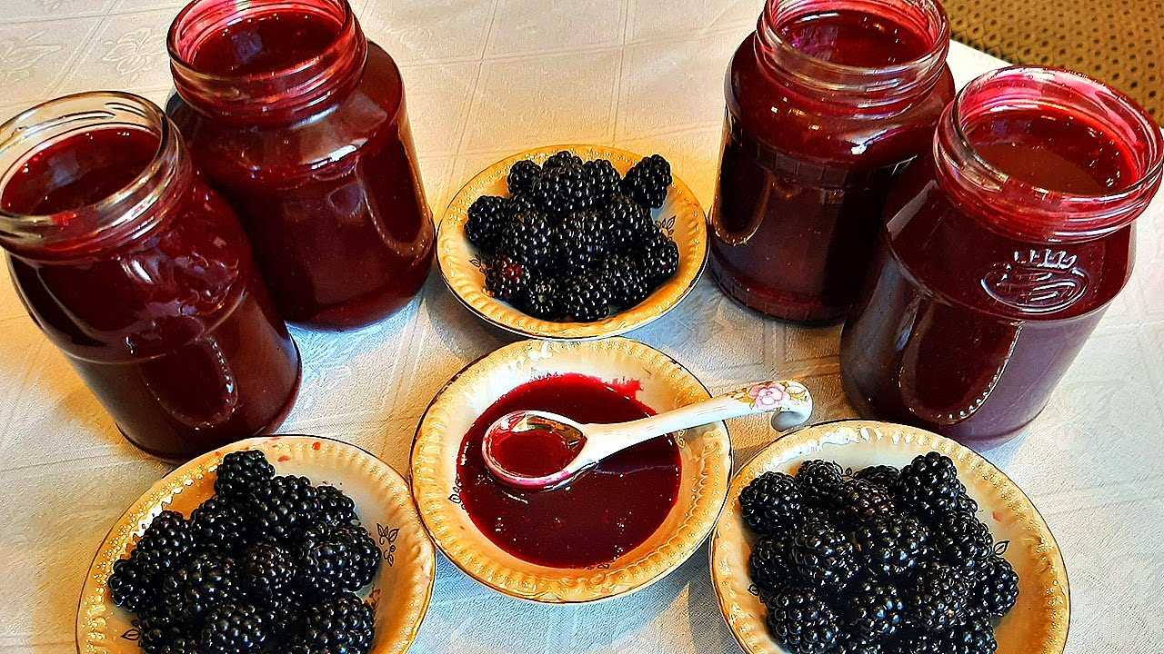 Что можно сделать из ежевики на зиму. топ 10 рецептов