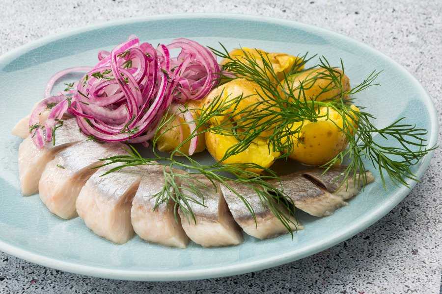 Вкусные закуски, рецепты на новый год 2024 — что приготовить новое и интересное на новогодний стол