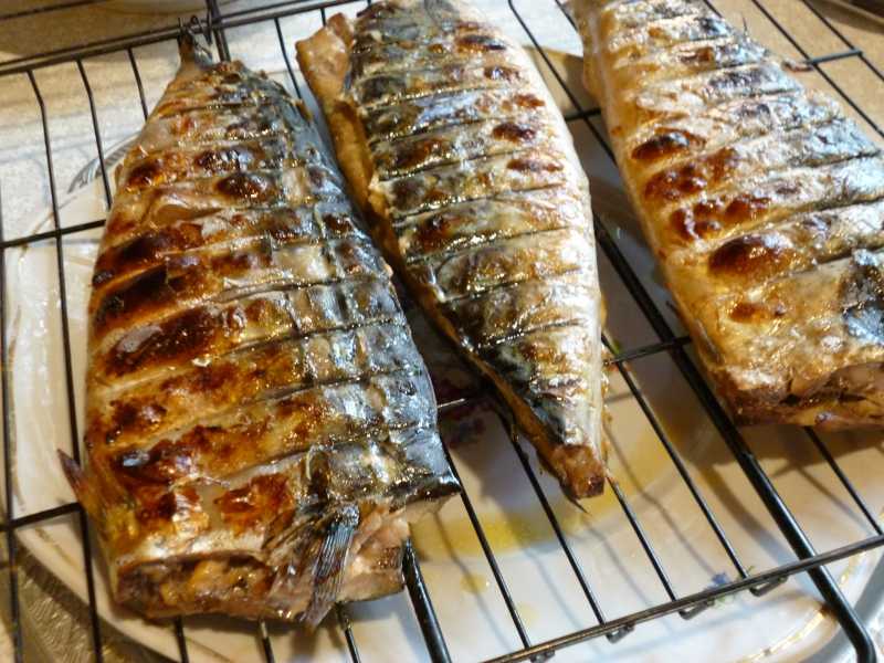 Как приготовить шашлык из рыбы на мангале