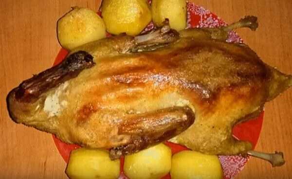 Утка в духовке. все секреты вкусной запеченной утки в духовке, рецепт с фото | волшебная eда.ру
