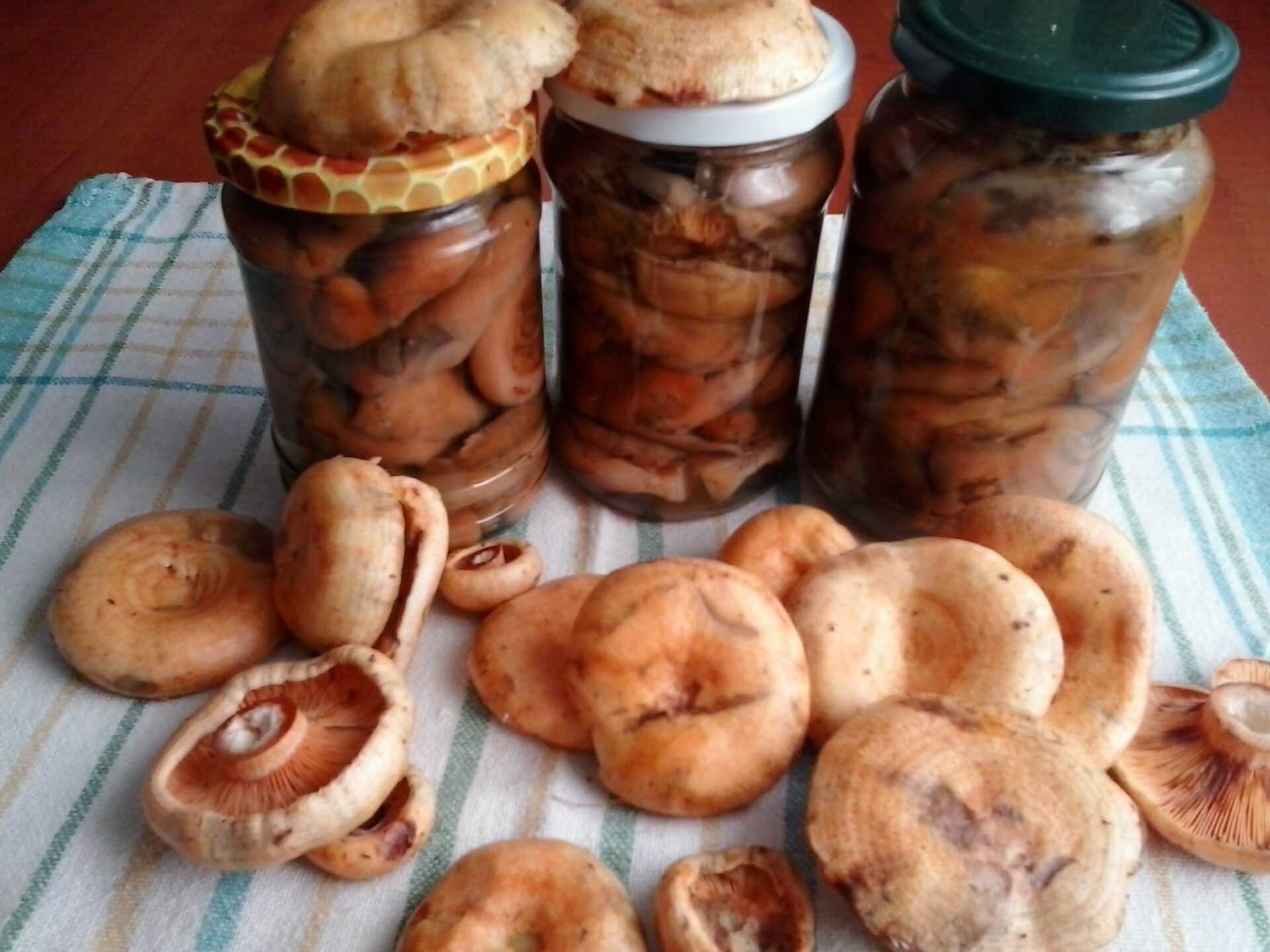 Рыжики на зиму - 12 домашних вкусных рецептов