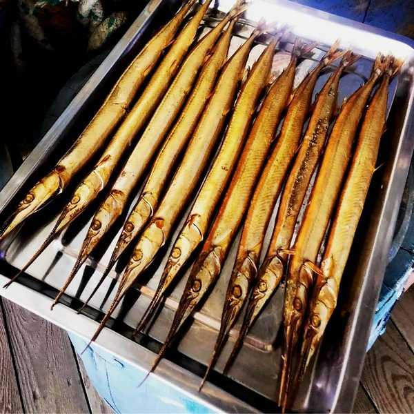 Рыба-игла: морская и пресноводная, описание и фото, нерест и отлов