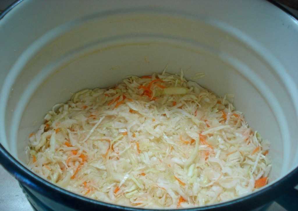 Как солить капусту в домашних условиях: 7 вкусных рецептов и множество советов