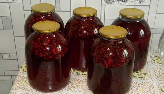 Простые рецепты компота из ирги на зиму со стерилизацией и без