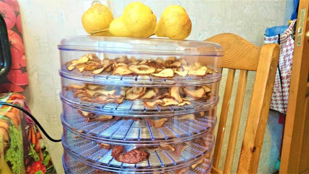 Как сушить груши в домашних условиях?
