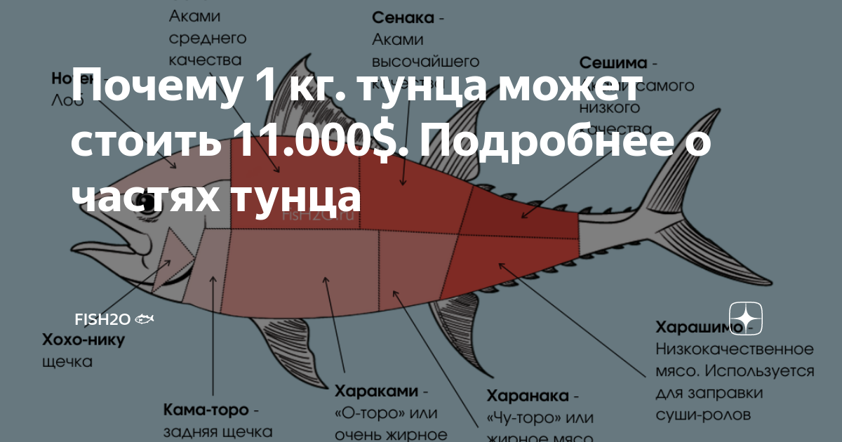 20 вкусных салатов с тунцом, которые удивят ваших гостей
