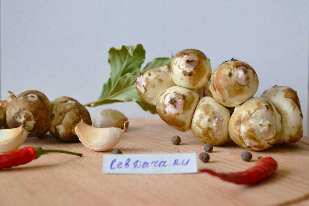 Топинамбур маринованный острый
