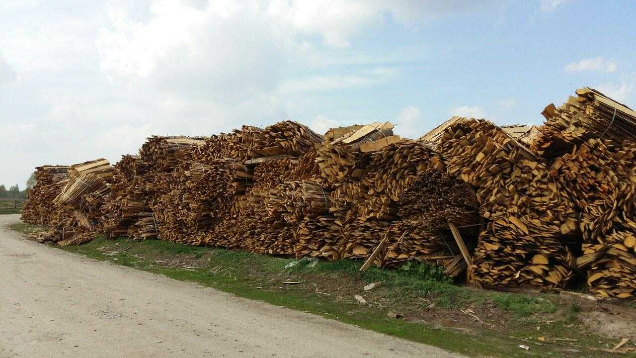 Щепа древесная: производство и области применения щепа из отходов древесины, виды и примеры использования