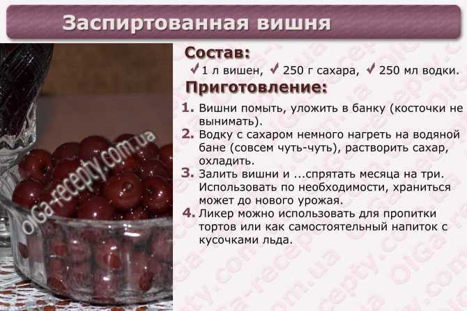 Домашнее черешневое вино – технология в деталях. вино из черешни в домашних условиях с малиной, вишней, смородиной - автор екатерина данилова - журнал женское мнение