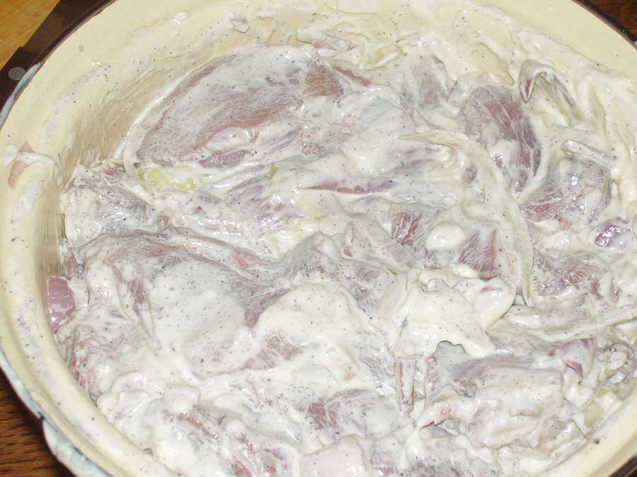 Многие хозяйки лучшим считают маринад для шашлыка с майонезом, так как он совмещает преимущества нескольких вариантов маринада 7 рецептов для разного мяса