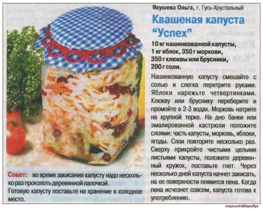 Маринование брюссельской капусты на зиму