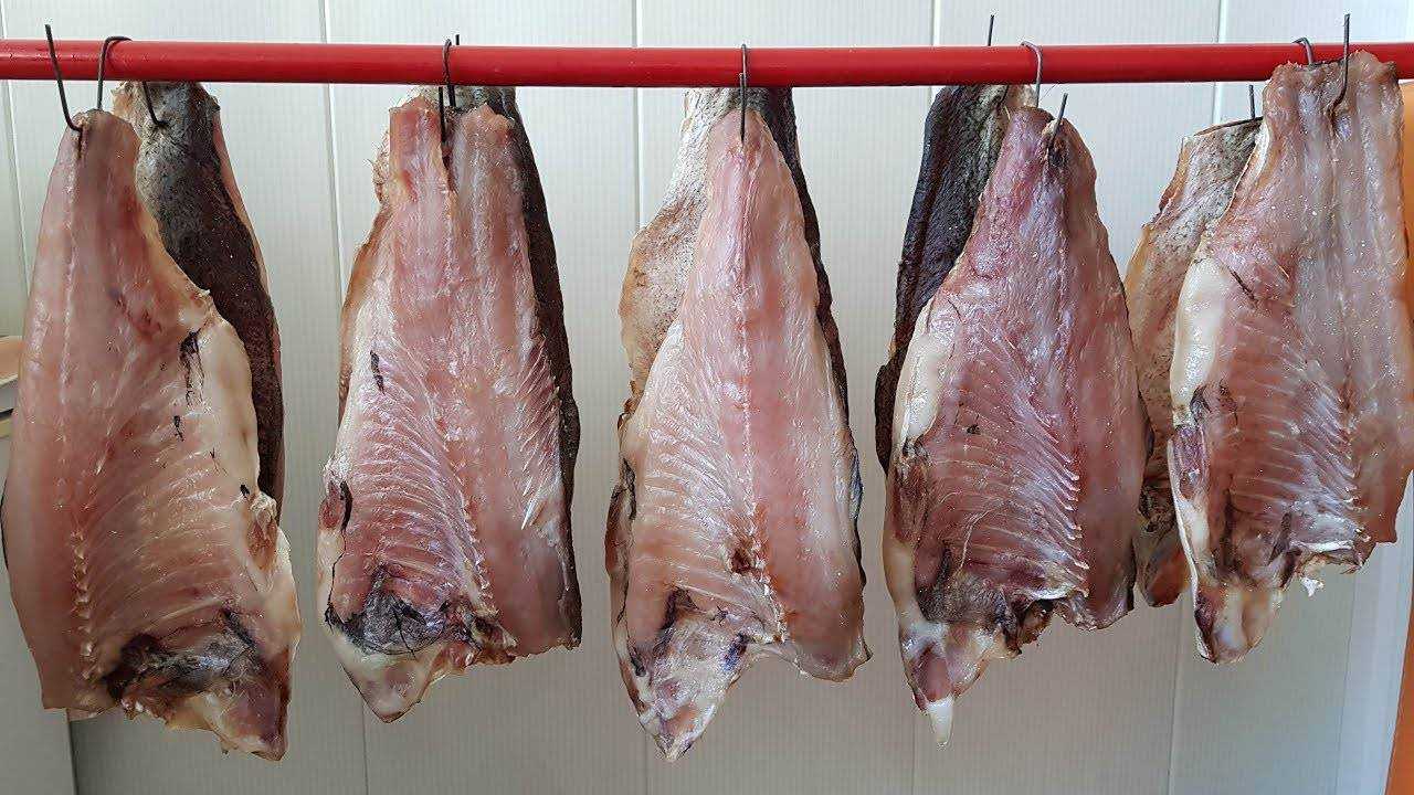 Много ли костей в жерехе и как вкусно его приготовить -