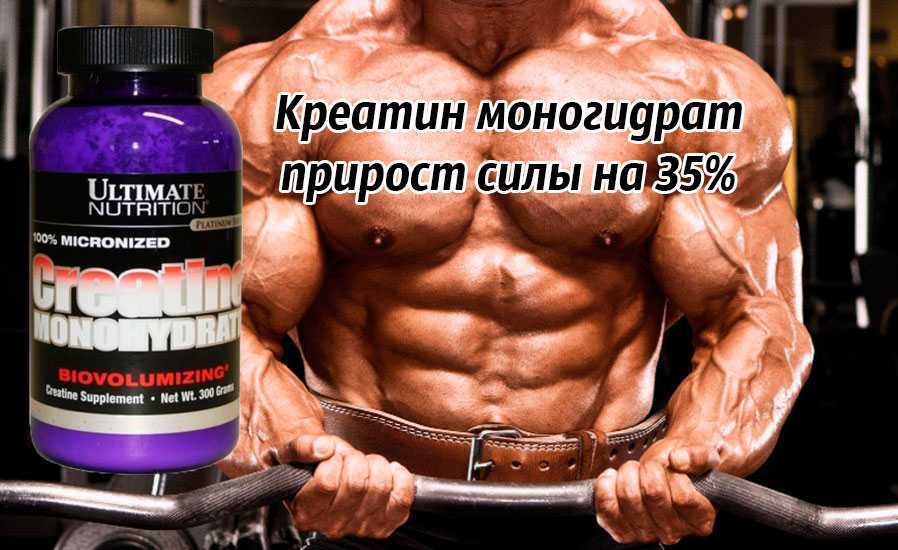 Как принимать креатин – схемы приема и дозировка