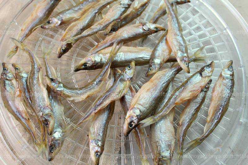 Как вялить корюшку